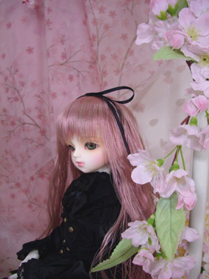 񂽂B